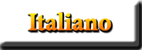 Lingua italiana. Riassunto. Afanasieva Nataliia. Medico. Ucraina. Poltava. www.afonder.com